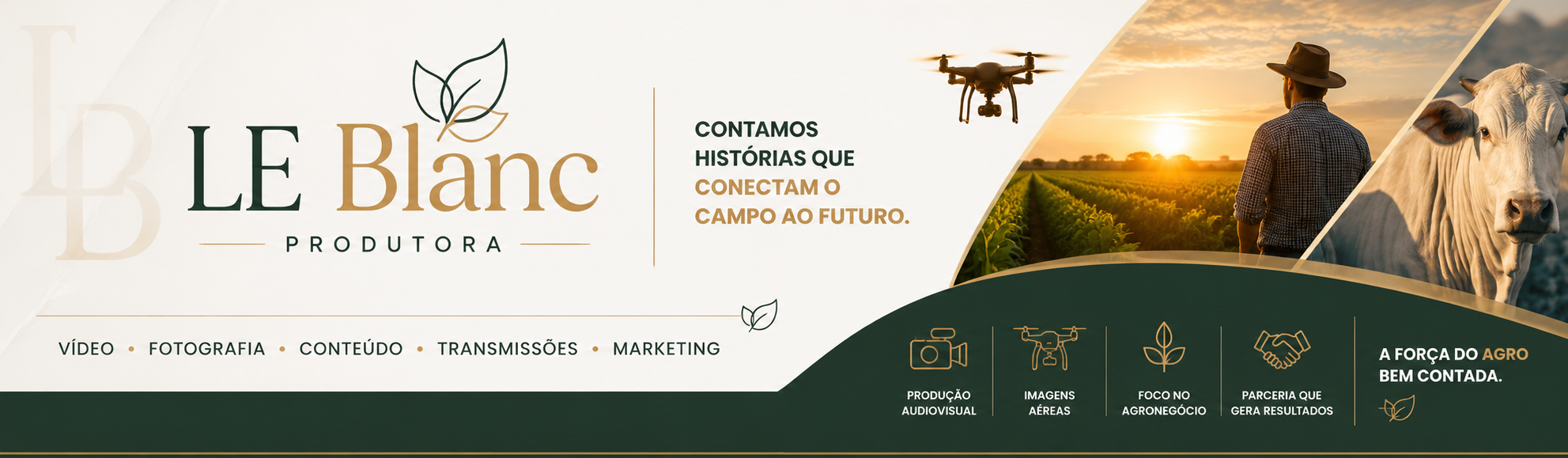 Banner Top